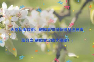 天龙私服攻略：麒麟重如何获得及注意事项分享(麒麟重攻略大揭秘！)