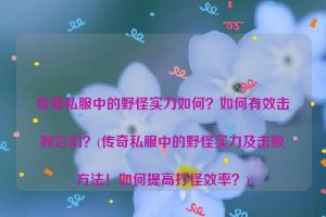 传奇私服中的野怪实力如何？如何有效击败它们？(传奇私服中的野怪实力及击败方法！如何提高打怪效率？)