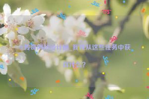 SF传奇网站设计图_我能从这些任务中获得什么？