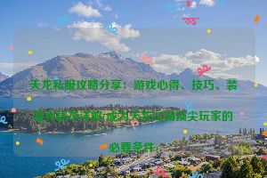 天龙私服攻略分享：游戏心得、技巧、装备和副本详解(成为天龙江湖顶尖玩家的必要条件)