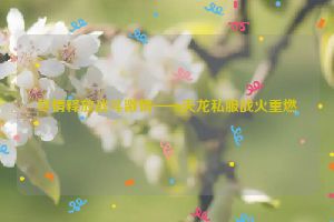 尽情释放战斗激情——天龙私服战火重燃