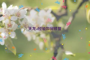 天龙sf经验如何修复