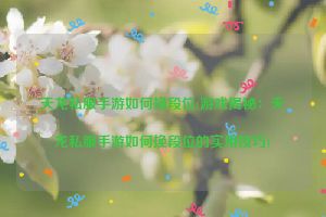 天龙私服手游如何换段位(游戏揭秘：天龙私服手游如何换段位的实用技巧)