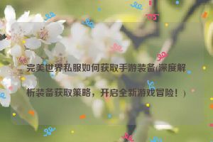 完美世界私服如何获取手游装备(深度解析装备获取策略，开启全新游戏冒险！)