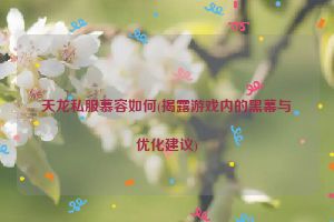 天龙私服慕容如何(揭露游戏内的黑幕与优化建议)