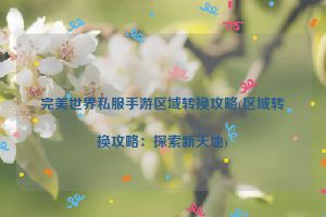 完美世界私服手游区域转换攻略(区域转换攻略：探索新天地)