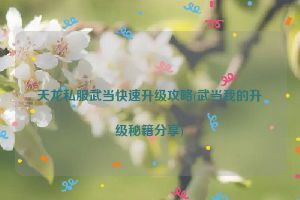 天龙私服武当快速升级攻略(武当我的升级秘籍分享)