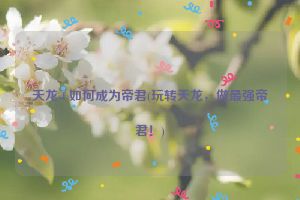 天龙sf 如何成为帝君(玩转天龙，做最强帝君！)