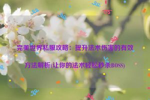 完美世界私服攻略：提升法术伤害的有效方法解析(让你的法术轻松秒杀BOSS)