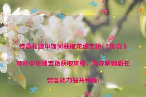 传奇私服中如何获取龙魂宝箱(《传奇》游戏中龙魂宝箱获取攻略，为你解锁潜在装备能力提升秘籍)