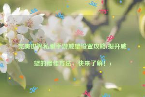 完美世界私服手游威望设置攻略(提升威望的最佳方法，快来了解！)