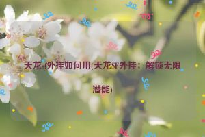 天龙sf外挂如何用(天龙SF外挂：解锁无限潜能)