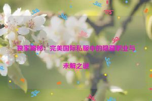 独家揭秘：完美国际私服中的隐藏职业与未解之谜