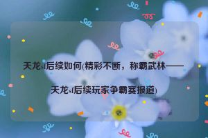 天龙sf后续如何(精彩不断，称霸武林——天龙sf后续玩家争霸赛报道)