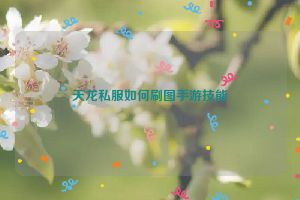 天龙私服如何刷图手游技能