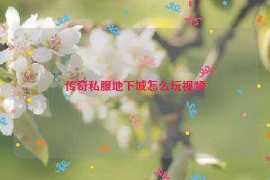 传奇私服地下城怎么玩视频