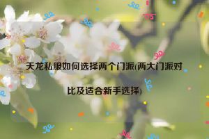 天龙私服如何选择两个门派(两大门派对比及适合新手选择)