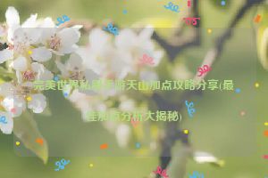 完美世界私服手游天山加点攻略分享(最佳加点分析大揭秘)