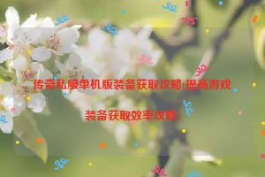 传奇私服单机版装备获取攻略(提高游戏装备获取效率攻略)