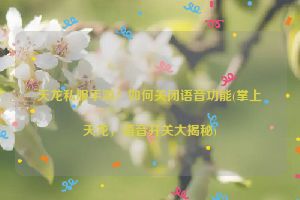 天龙私服手游：如何关闭语音功能(掌上天龙，语音开关大揭秘)