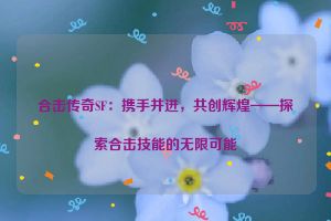 合击传奇SF：携手并进，共创辉煌——探索合击技能的无限可能