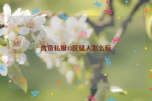 传奇私服13区猛人怎么玩