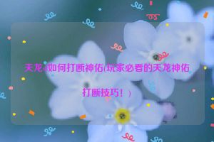 天龙sf如何打断神佑(玩家必看的天龙神佑打断技巧！)