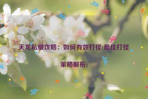 天龙私服攻略：如何有效打怪(最佳打怪策略解析)