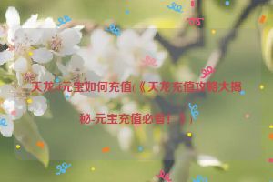 天龙sf元宝如何充值(《天龙充值攻略大揭秘-元宝充值必看！》)