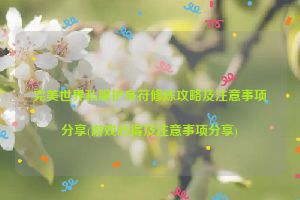 完美世界私服护身符修炼攻略及注意事项分享(游戏心得及注意事项分享)