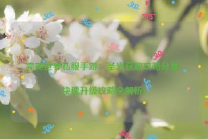 完美世界私服手游：圣光获取攻略分享(快速升级攻略全解析)