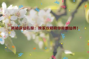 揭秘诛仙私服：独家攻略助你称霸仙界！