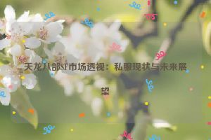 天龙八部SF市场透视：私服现状与未来展望