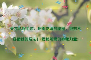 天龙私服手游：探索龙魂的秘密，绝对不容错过的玩法！(揭秘龙魂的神秘力量)