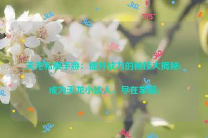 天龙私服手游：提升战力的秘技大揭秘(成为天龙小达人，尽在掌握)