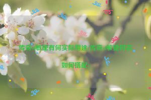 传奇sf敏捷有何实际用途(传奇sf敏捷时装如何搭配)