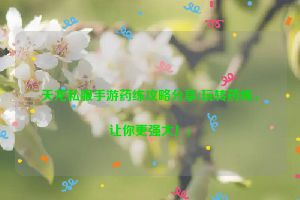 天龙私服手游药练攻略分享(玩转药练，让你更强大！)