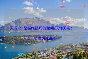 天龙sf：掌握PK技巧的秘籍(玩转天龙：一步一步成为PK高手。)