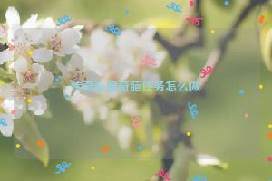 传奇私服奇葩任务怎么做